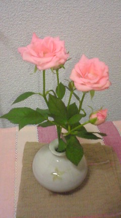 rose5.jpg